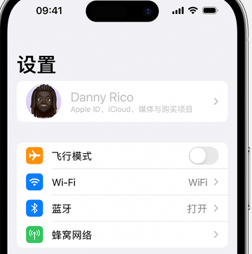 红坪镇appleID维修服务iPhone设置中Apple ID显示为灰色无法使用 