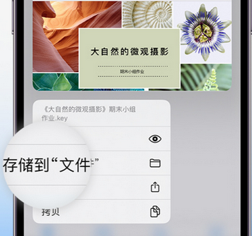 红坪镇apple维修中心分享iPhone文件应用中存储和找到下载文件