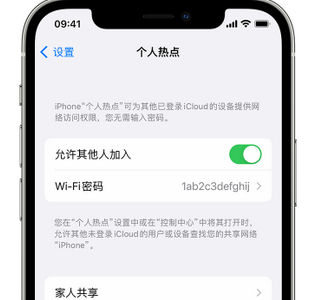 红坪镇apple服务站点分享iPhone上个人热点丢失了怎么办 