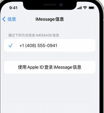 红坪镇apple维修iPhone上无法正常发送iMessage信息 