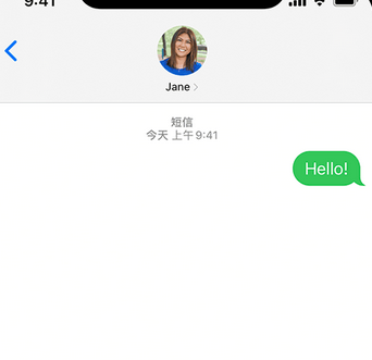 红坪镇apple维修iPhone上无法正常发送iMessage信息