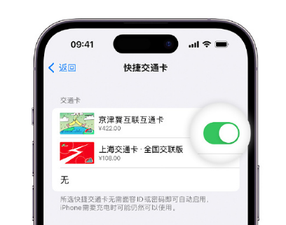 红坪镇apple维修点分享iPhone上更换Apple Pay快捷交通卡手绘卡面 