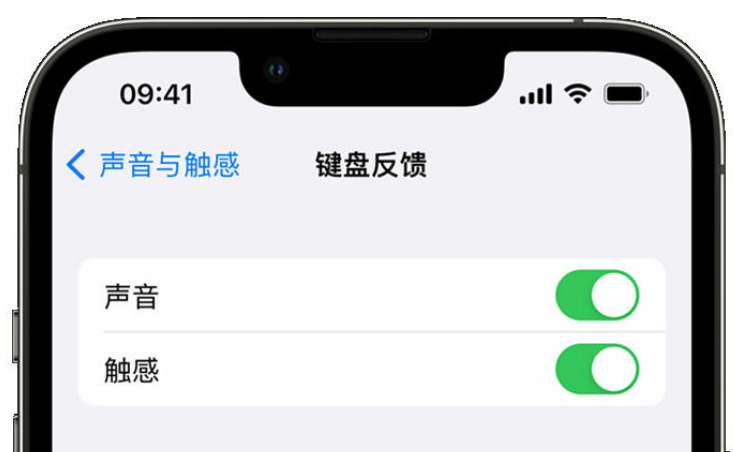 红坪镇苹果手机维修分享iPhone 14触感键盘使用方法 