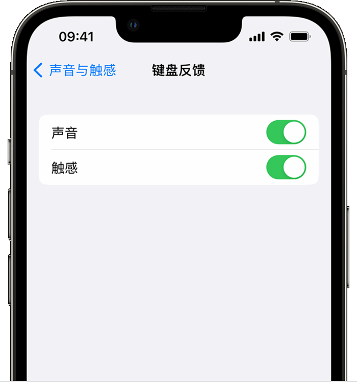 红坪镇苹果14维修店分享如何在 iPhone 14 机型中使用触感键盘 