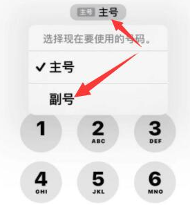 红坪镇苹果14维修店分享iPhone 14 Pro Max使用副卡打电话的方法 