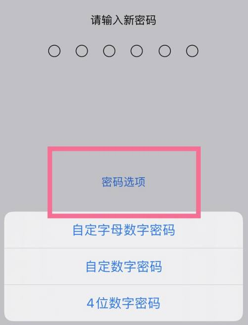 红坪镇苹果14维修分享iPhone 14plus设置密码的方法 