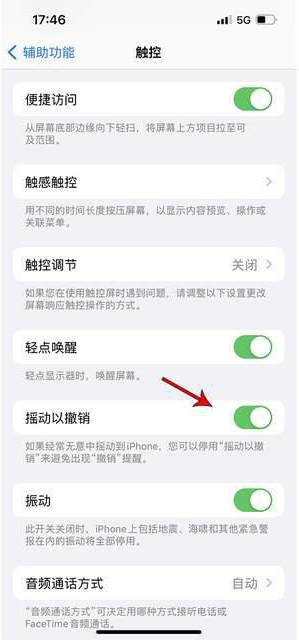 红坪镇苹果手机维修分享iPhone手机如何设置摇一摇删除文字 