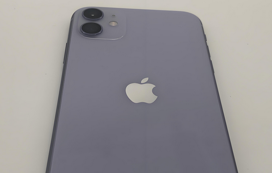 红坪镇苹果11系统维修分享iPhone11手机系统崩溃无法开机如何解决 